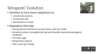 Intro to Tetrapods