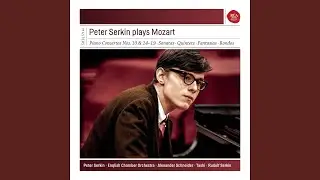 Piano Concerto No. 16 in D Major, K. 451: II. Andante
