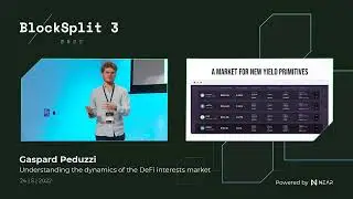 Understanding the dynamics of the DeFi interests market
