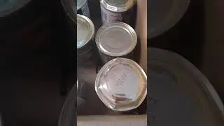 Food Storage Fail- Can Seam Failure