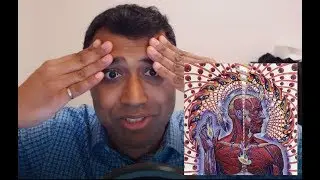 Tool - Lateralus - REACTION / ANALYSIS!
