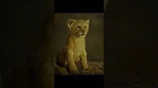 Just a Mufasa Dialogue From The Lion King 🫶🏻#viral #trending #youtubeshorts #youtube #dialogue #yt