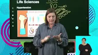 Life Sciences Grd 10 The Human Transport System The Blood Vessels S4