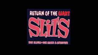 Slits  Animal Space  Left Minus Right Audio Channel Mix  US Enclosure Company