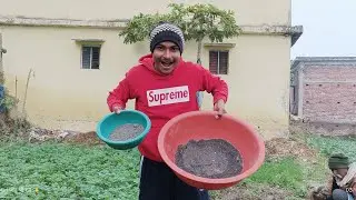 प्याज का बीज बोने जा रहे हैं 😮