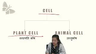 Class 7: Cells