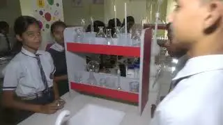 Cambridge Academy, Gopiganj, U.P.