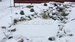 How cold was it?