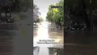 Flooding today in Wayville, Adelaide weather #adelaidenews ABC Adelaide