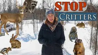 Keep Animals out of the Garden