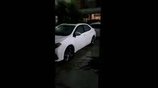 A canijote parace que va a llover xd