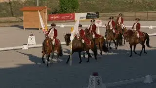 Gala performance of the Escola Portugesa de Arte Equestre