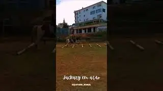 Treinamento de cavalos na Equitare Rural