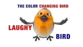 Laughy Bird Crowd Breaker Game Deeper KidMin Preview Only