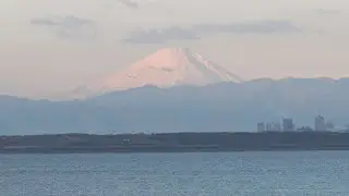 こちら浦安情報局#902「浦安の歴史と文化を巡る」