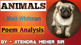 Animals | Poem Analysis | Walt Whitman | Hindi Explanation | SSC | By Jitendra Meher Sir