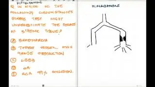 DIPYRIDAMOLE