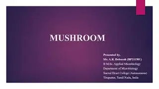 Mushroom - history, origin, characteristics, and importance of mushroom