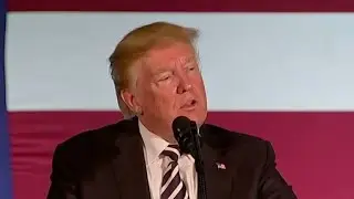 Trump absent from McCain's memorial service