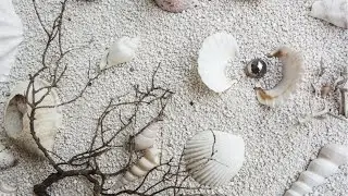 So many Pearls! (Reveals 18593 - 18620)