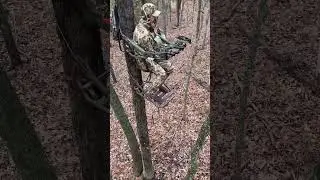 Big Buck Hunt! #nature #hunting #deerhunting #deer #archery #bowhunting #teamspypoint