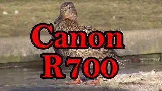 Canon Vixia HF R700 Test Video Zoom Focus & Stabilization Duck Pond