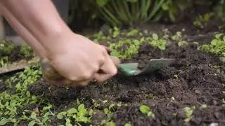 O'Keefe's Working Hands