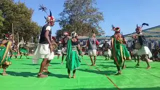 रेला सामूहिक नृत्य   Tribal Community Dance 