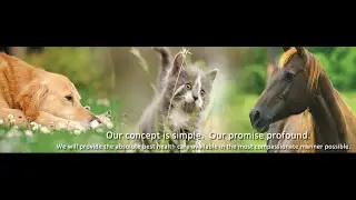 Royal Canin Veterinary Diets at Badger Veterinary Hospital