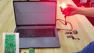 DPM Industrial Level Scanning Engine --iN1