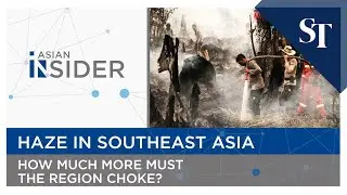 Haze in Southeast Asia | Asian Insider | The Straits Times