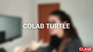 IP S2 | Canviar aleatòriament de color el cursor a ColabTurtle