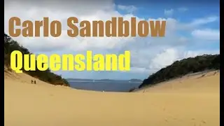 Carlo SandBlow at Rainbow Beach, Queensland, Australia.