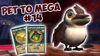 Wizard101: Pet to Mega #14