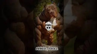 DOG CAN'T BE SCARY PITBULL TRANSFORMATION 🥶#troll #shorts