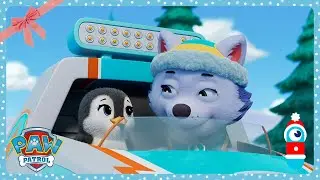 The Lost Penguin 🐧 Paw Patrol Christmas 🐧 WildBrain Wheels