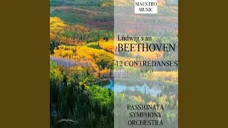 12 Contredanses, WoO 14: No. 3 Trio in D Major
