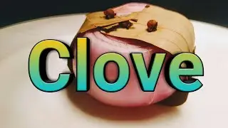 Clove