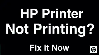 HP Printer Not Printing  -  Fix it Now