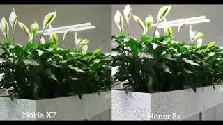 Nokia X7 Vs Honor 8x   Camera Review & Comparison