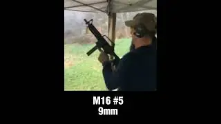 volum of m16 , DSA FAL