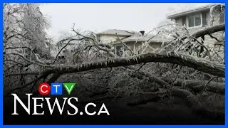 Cleaning up after the ice storm in Eastern Ontario