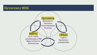 VIII Южно-Российский международный ветеринарный конгресс _ 13.10.2022