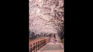 Natures Magic, Mesmerizing Videos That Melt Your Mind