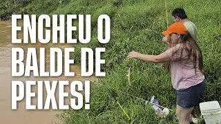 SÓ FISGADA BRUTA! Não venci carregar o balde de tanto peixe!