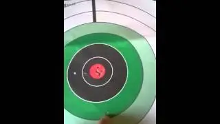 Golden flight vs. Gamo whisper(silent cat) 750 fps