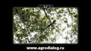 Системы комбинирования Efco Multimate