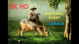 [8K HD] Canada city events and activities. Cultural events in Vancouver British Columbia July 2021