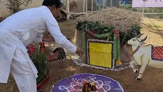 Sankranthi celebrations in IDPS school 🎒📚#festival #celebration #events