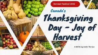 THANKSGIVING DAY | JOY OF HARVEST 🌾🍋🌽 | HARVEST FESTIVAL 2022 🇨🇦 #arrangement